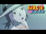 Naruto Shippuden Ending 14 - Utakata Hanabi (HD)