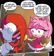 Knuckles and Amy IDW Issue 9