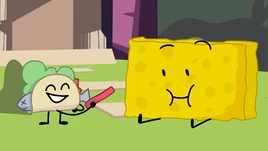Taco and Spongy