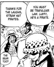 Law and Luffy first meeting