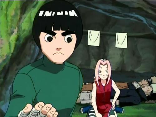 Rock Lee, Wiki