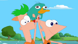 Platypus Bros