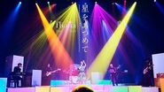 Trace the Stars, movie video of the main theme music.