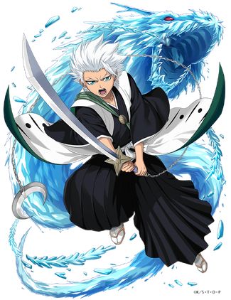 護廷十三隊・十番隊隊長日番谷冬獅郎| 白貓Project wiki | Fandom