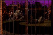 Front Gate Locked.jpg
