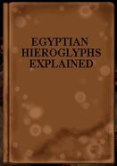 Egyptian Hieroglyphs Explained. Brown book with brown spine.