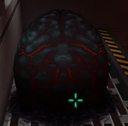 BlackEggAnn