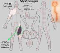 Cyborg Circuits Concept