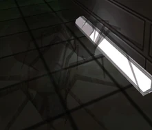 Annelidarachnidinvisible