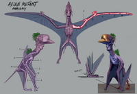 Avian Mutant Concept