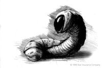 Annelid Grub concept art