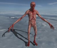 Humanoid Mutant