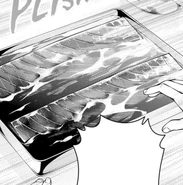 Marinating Akami