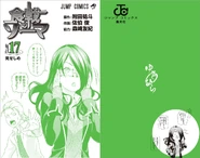 Volume 17 cover without the dust jacket
