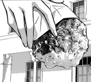 Fried Bear with Sauce.png (81 KB) Fried Bear with Gravy Sauce