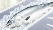 Tokishirazu Salmon (Anime).png (2.19 MB) Tokishirazu Salmon (Anime)
