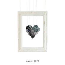 Snow Drop Official Cover