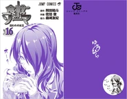 Volume 16 cover without the dust jacket