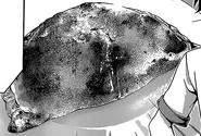 Curry Bread Calzone.png (127 KB) Curry Bread Calzone as depicted in the manga