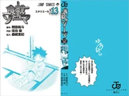 Volume 13 cover without the dust jacket