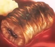 Inside of Eel Matelote