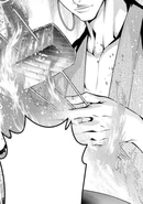 Dynamically Roasting Tsuno