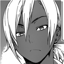 Chapter 249: Your Face In Profile, Shokugeki no Soma Wiki, Fandom