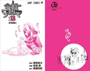 Volume 18 cover without the dust jacket