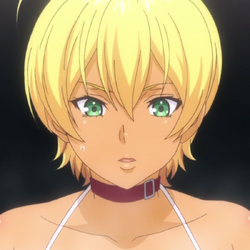 Food Wars!: Shokugeki no Soma,” a unique cooking genre of anime, has ended  – The Suffolk Journal