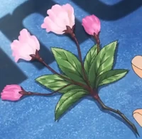 Aigamo Flower.png (108 KB) Flower