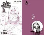 Volume 11 cover without the dust jacket