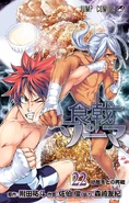 Volume 22.jpg (353 KB) Volume 22 cover
