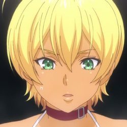 Ikumi Mito, Shokugeki no Soma Wiki