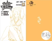 Volume 12 Book Cover.png (991 KB) Volume 12 cover without the dust jacket