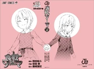 Volume 19 cover without the dust jacket