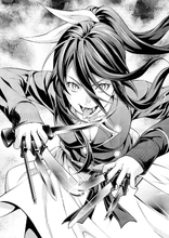 Rindō's knife collection