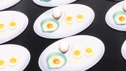 Three Forms of Egg Dishes at first glance.