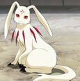 Touda