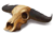 Quest DesertofDoomIcon