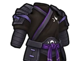 Ninja Garb
