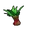 Mintyleaf Herb