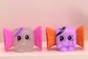 Wrapper T | Shopkins Wiki | Fandom