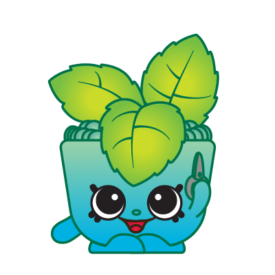 Shopkins mint discount