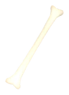 Solid Bone