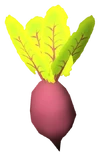 Beet