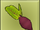 Item icon beet.png