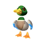 Pet Duck New
