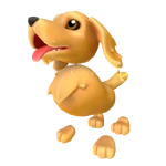 Dog Pet Golden