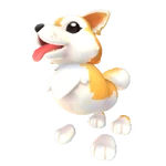 Dog Pet Shiba