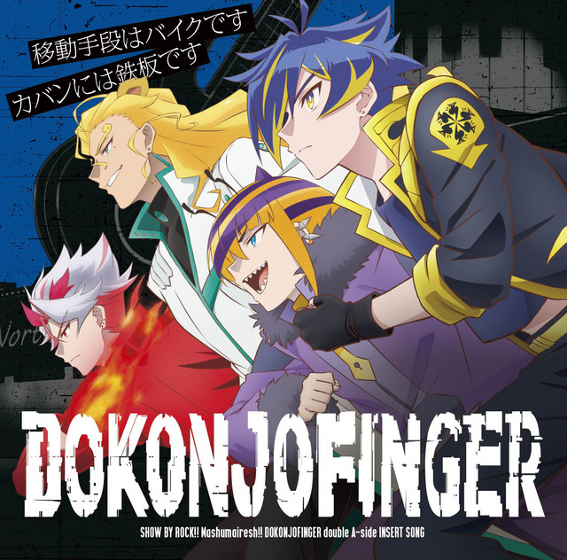 SHACHI indies rock DVDディスクのみ 正規販売店】 SHACHI DVDディスクのみ rock indies ミュージック